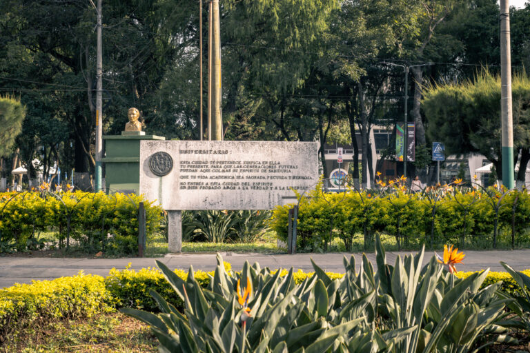 PLAQUETA ENTRADA USAC